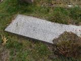 image of grave number 906863